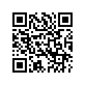50500279 SUPPORT,LHFTPEG,CHROMEM