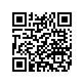 50502528 PEG,FTPEG WEAR,RDR