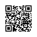 505068300 Ski Ass.       *ski-assy (includes 1 To 