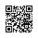 505070013 Amortisseur    *shock