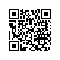 505070490 Stabilisateur P*stabil-paint