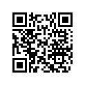 505073145 Amortisseur    *shock
