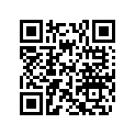 505073244 Shock AssВґy, Ski