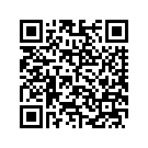 50589-07BKO BRACKET REAR FORK, RIGHT (CANDY COBALT)