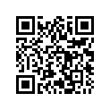 506063100 Rondelle       *washer