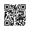 50610-040-000-B Bar,step