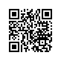 50610-174-671ZA Bar, Step *nh1* (black)