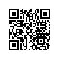 50610-331-000-B Bar, step *nh1*