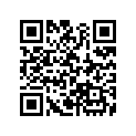50610-KL3-670ZA Arm, R. Step *nh105* (mat Black)