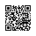 50611-KEY-900ZQ BSKIRT,R F*PB276R*