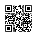 506129100 Coussinet      *bushing