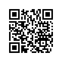 506130900 Jambe De Ski   *leg-ski