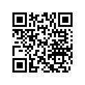506139200 Jambe De Ski   *leg-ski