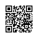 506141100 Levier Stabil.u*lever-stabil.mach. Mx Z 