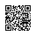 506145100 Stabilisateur  *stabilisator