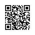 50615-KL3-770ZA Arm, R. Step *nh105* (mat Black)