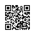 50615-KT0-670ZA ARM,R.STE*NH-105*