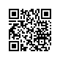 506151332 Patte Verrouil.*lock-tab