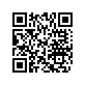 506152404 Cushion