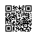 50617-MCT-000 RUBBER,R.P.STEP