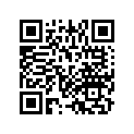 50661-MN5-000 RUBBER, MAIN STEP