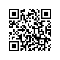 50665-MFN-D00ZD HOLDER, R. *NH303M*