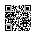 507032368 Support Frein  *support-brake