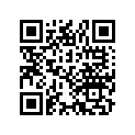 50813-611-000 STIFFENER,FR.