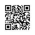 5082209 BRACKET,LHPSNGR