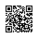 509-17221-00-00 