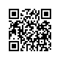 509-17251-00-00 