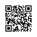 5094200 FOOTPEGSUPPORT