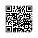 5099401 FOOTPEGSUPPORT,PASSENGE