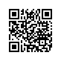 5099607 SUPPORTASY,LH,PSNGR,A