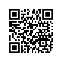 510-17411-01-00 