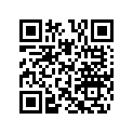 510004238 Coffre         *trunk Labrador Blue B-22