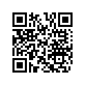 510004438 SEAT BELT
