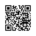 510004699 Poignee Passage*pass. Handle