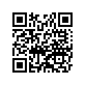 5100113206W 