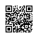 510011404VG 