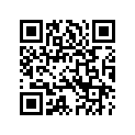 5104408 FOOTSUPPORT,LHRIDER11