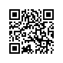 5105005 SUPPORT,PSNGRFTRSTCHRO