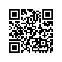 51085536315P 