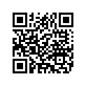 5108706 SUPPORT,PASSENGERFOOTPE