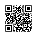 5108806 SUPPORT,PASSENGERFOOTPE