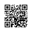 51089-5184-739 