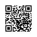 51089-5185-739 