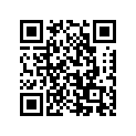 51100-20600-019 