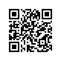 51100-25621-291 