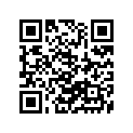 51100-29311-291 
